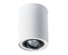 Потолочный светильник Arte Lamp A5644PL-1WH