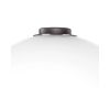 Настольная лампа Lightstar Colore 805916