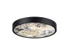 Настенно-потолочный светильник Odeon Light Bergi 5064/24L