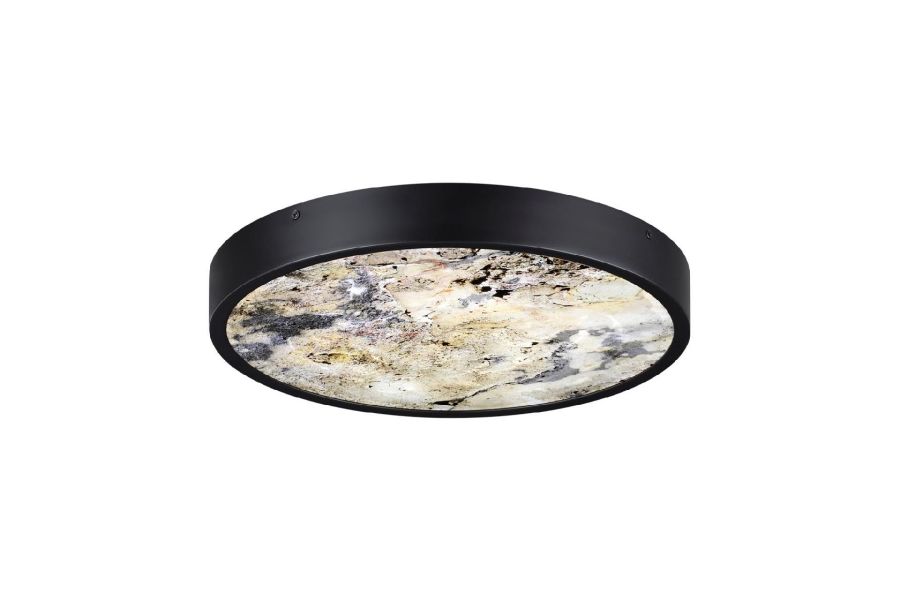 Настенно-потолочный светильник Odeon Light Bergi 5064/24L
