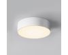 Уличный потолочный светильник Maytoni Zon IP O431CL-L30W3K