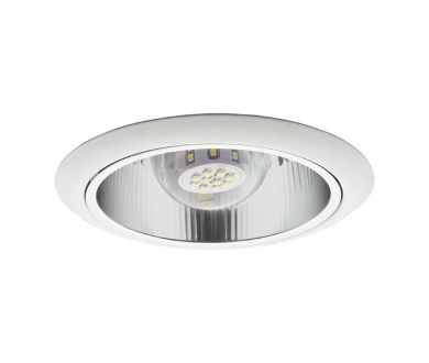 Карданный светильник Kanlux Ozon DLBS-1AV/27-W 905