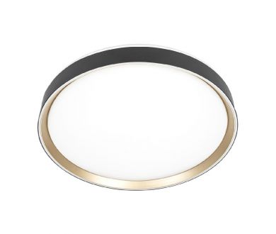 Потолочный светильник Citilux Boss CL751451G
