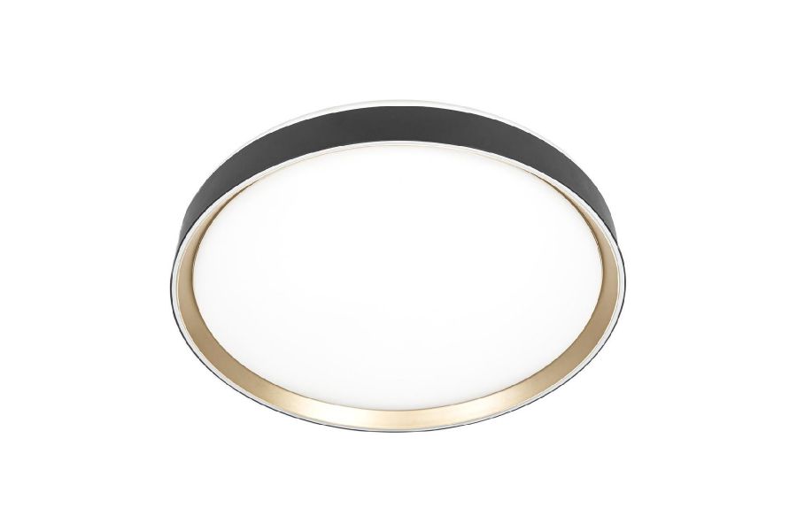Потолочный светильник Citilux Boss CL751451G