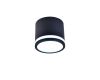 Накладной светильник Favourite Festum 4212-1C
