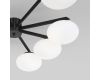 Потолочная люстра Eurosvet Opaline 70220/8 черный Smart a065767