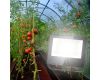 Фитопрожектор для растений ЭРА FITO-100W-Ra90-LED Б0047876