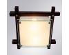 Потолочный светильник Arte Lamp Archimede A6462PL-2CKB