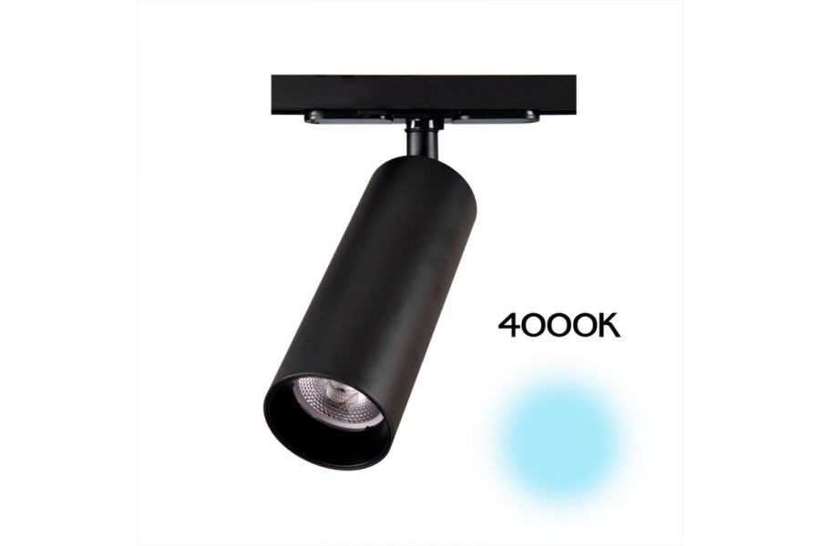 Трековый светильник Citilux Тубус CL01T181N