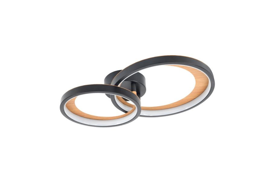 Потолочный светильник Escada Callisto 10265/2LED