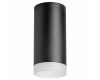 Потолочный светильник Lightstar RULLO R648780 (216487+202480)