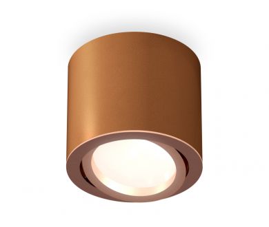Купить Потолочный светильник Ambrella Light Techno Spot XS7404002 (C7404, N7005) Потолочный светильник Ambrella Light Techno Spot XS7404002 (C7404, N7005)