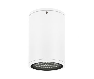 Уличный потолочный светильник Arlight LGD-Forma-Surface-R90-12W Day4000 037259