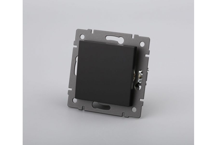 Механизм выключателя одноклавишный самовозвратный Arlight SWT-MKR1-PL-BK-V (250V, 10A) 049880