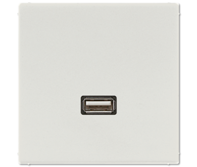 Розетка USB Jung MALS1122LG