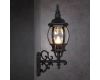 Уличный настенный светильник Arte Lamp Atlanta A1041AL-1BG