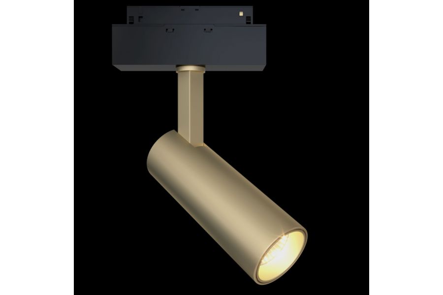 Трековый светильник Maytoni Focus LED  TR019-2-10W4K-MG