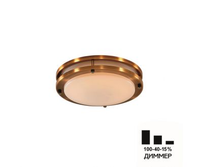 Настенно-потолочный светильник Citilux Бостон CL709203N