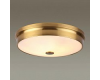 Потолочный светильник Odeon Light 4824/4C