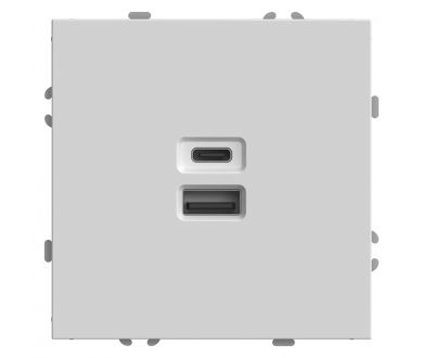 Розетка 2-местная USB + Type C Stekker RST10-5115-01 Эмили 49879