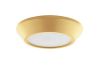 Накладной светильник Lightstar Urbano mini 214732