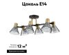 Потолочная люстра Lumion Anriya 8044/6C