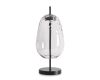 Настольная лампа Freya Pallada FR5586TL-01B
