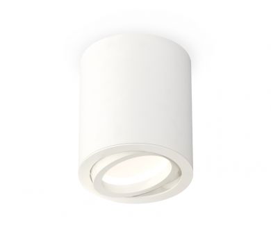 Купить Потолочный светильник Ambrella Light Techno Spot XS7421001 (C7421, N7001) Потолочный светильник Ambrella Light Techno Spot XS7421001 (C7421, N7001)