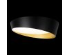 Потолочный светильник Loft IT Coin 10199 Black