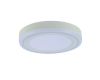 Потолочный светодиодный светильник Arte Lamp Antares A7816PL-2WH
