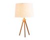 Настольная лампа LOFT IT Natural Loft7112T