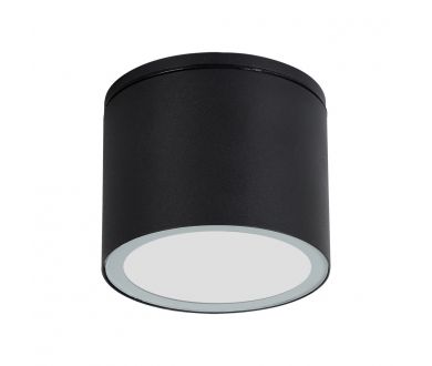 Уличный потолочный светильник Arte Lamp Piautos A1913PF-1BK