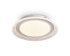 Потолочный светильник Freya Galla FR6243CL-L106W