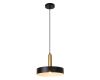 Подвесной светильник Escada Sagitta 1110/1S Black