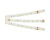 Светодиодная лента Arlight RT-A80-8mm 24V Day5000 (6 W/m, IP20, 2835, 50m) 024523(2)