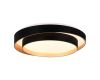 Потолочный светильник Evoluce Crosby SLE6009-402-01
