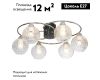 Потолочная люстра Lussole LSP-8415