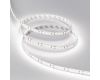 Светодиодная лента Arlight RT-A120-10mm 48V White6000 (9.6 W/m, IP20, 2835, 30m) 038805