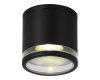 Уличный потолочный светильник ST Luce Tubo SL9009.402.01