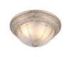 Потолочный светильник Arte Lamp Piatti A8014PL-2WA