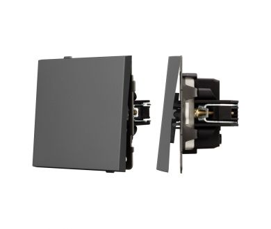 Механизм выключателя одноклавишный непроходной Arlight SWT-TENDO-MK01-SFPL-GR (230V, 10A) 054569