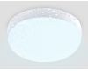 Уличный потолочный светильник Ambrella Light Street ST8633