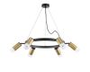Подвесная люстра Lightstar Rullo (571016+214440-6+202431-6) LR0164061