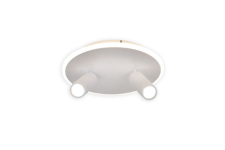 Настенно-потолочный светильник Escada 20046SMA/02LED WH