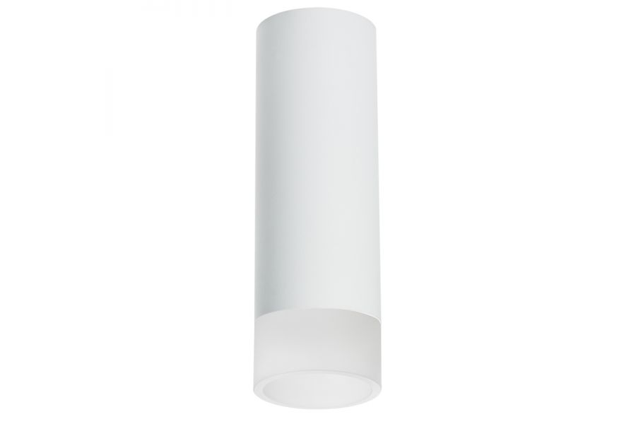 Накладной светильник Lightstar Rullo R48631 (214486+202431)