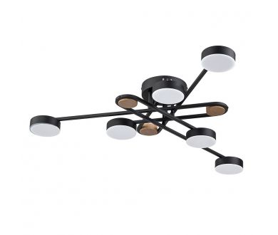 Потолочная люстра Arte Lamp Taygeta A2455PL-6BK