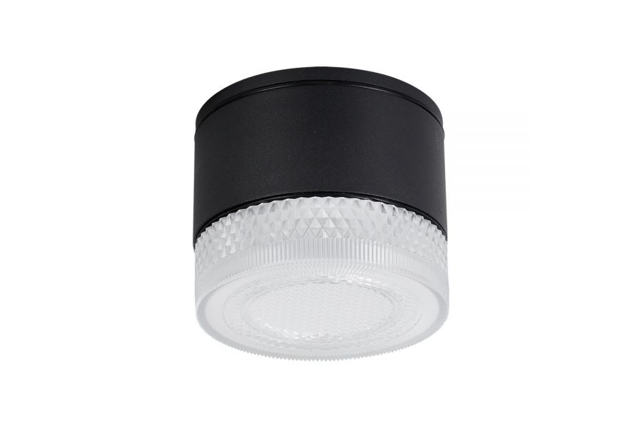 Уличный потолочный светильник Arte Lamp Piautos A1926PF-1BK