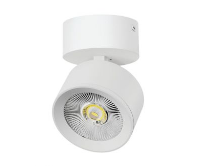 Накладной светильник Alta Pro Lightstar A5546SO