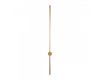 Настенный светильник Loft IT Rays 10053GD