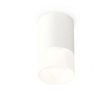 Потолочный светильник Ambrella Light Techno Spot XS7421025 (C7421, N7170)